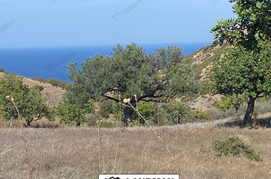 LEFKE BADEMLIKOY SATILIK ARAZI